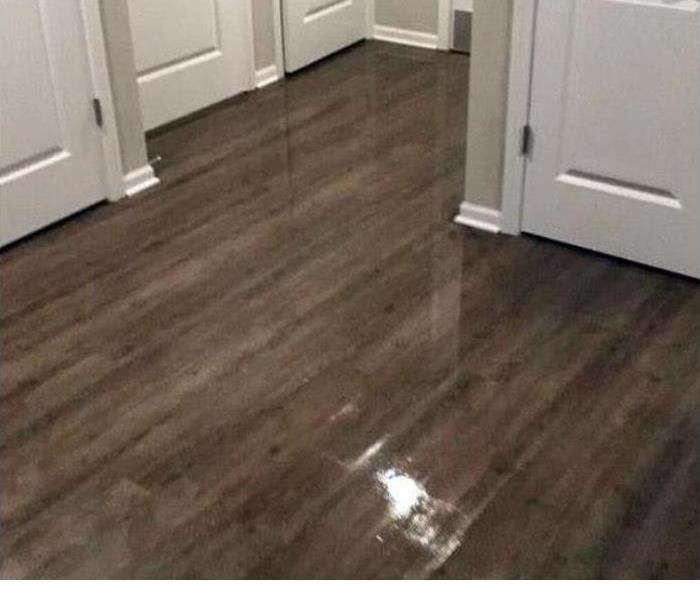 hardwood flooring with water standing